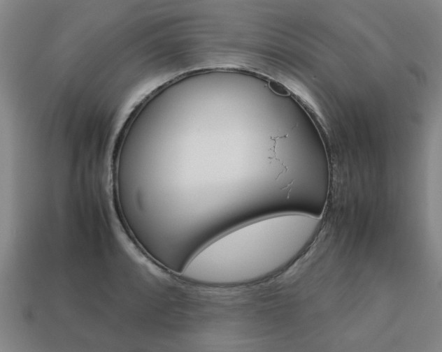 X0000113781088200909231036