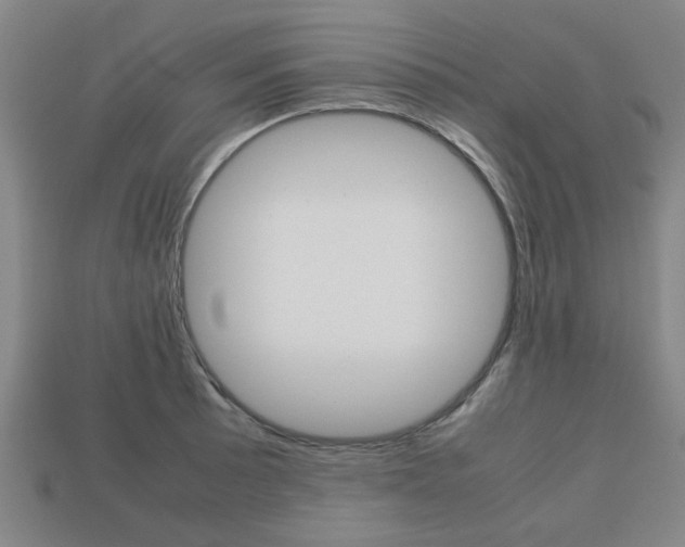 X0000113781089200909231036