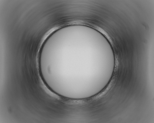 X0000113781090200909231036