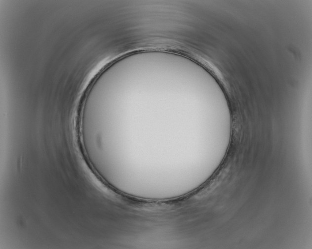 X0000113781091200909231036