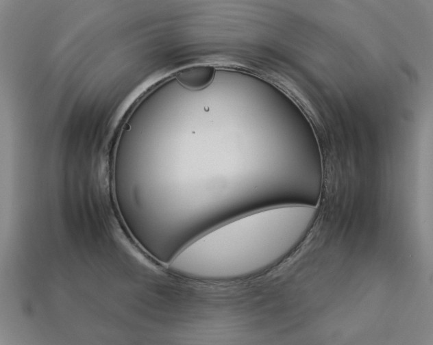 X0000113781092200909231036