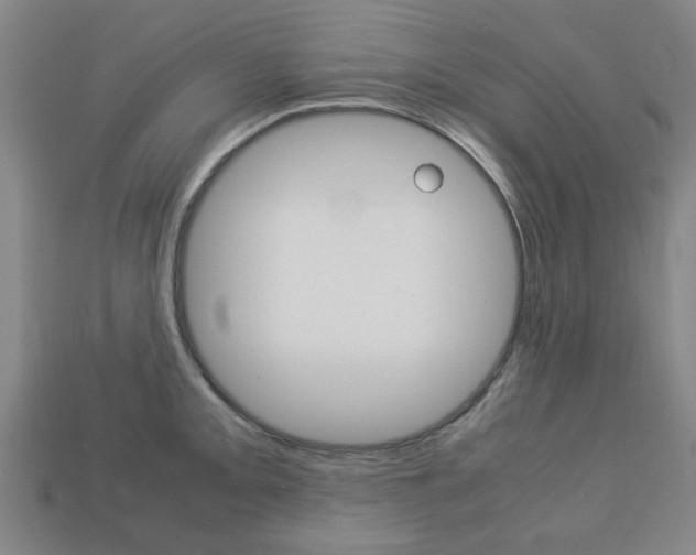 X0000113781093200909231036