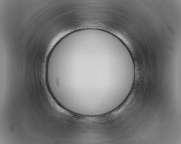 X0000113781094200909231036