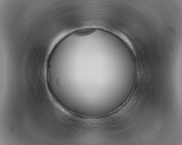 X0000113781096200909231036