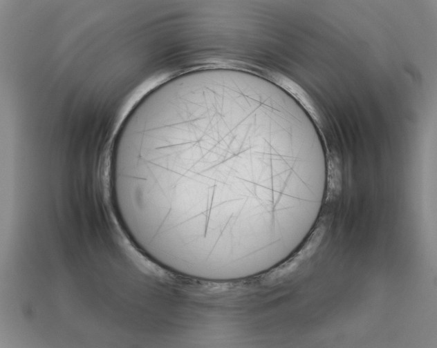 X0000113781098200909231036
