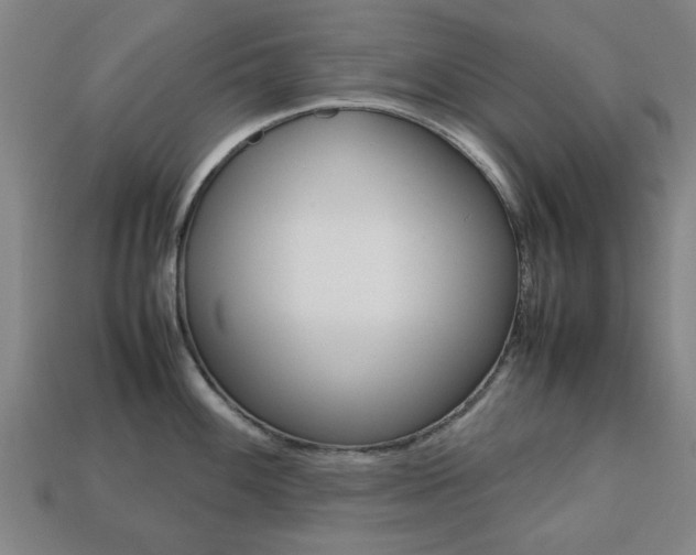 X0000113781100200909231036