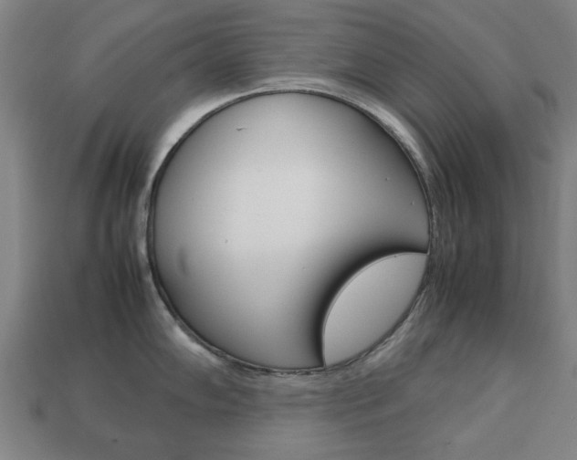 X0000113781102200909231035