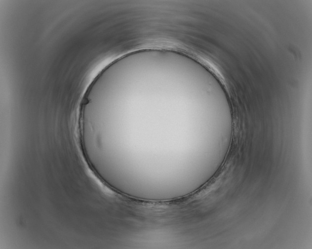 X0000113781103200909231035