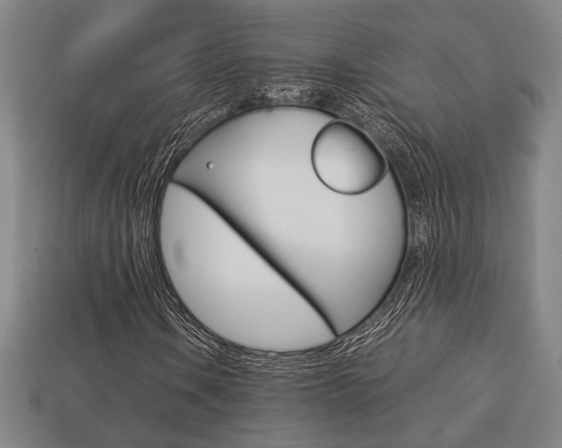 X0000113781106200909231035