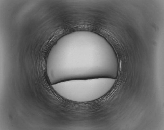 X0000113781107200909231035