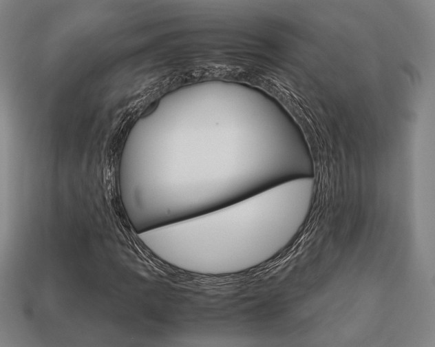 X0000113781109200909231035