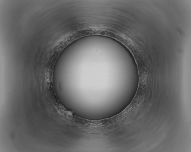 X0000113781110200909231035