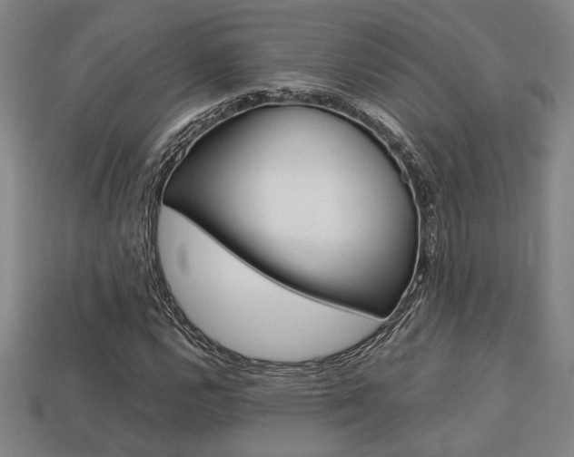 X0000113781112200909231035