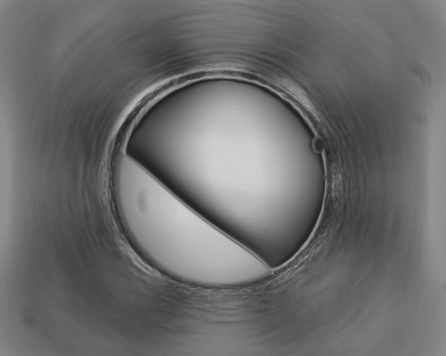 X0000113781116200909231035