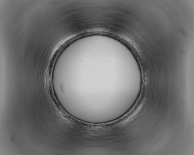X0000113781117200909231035