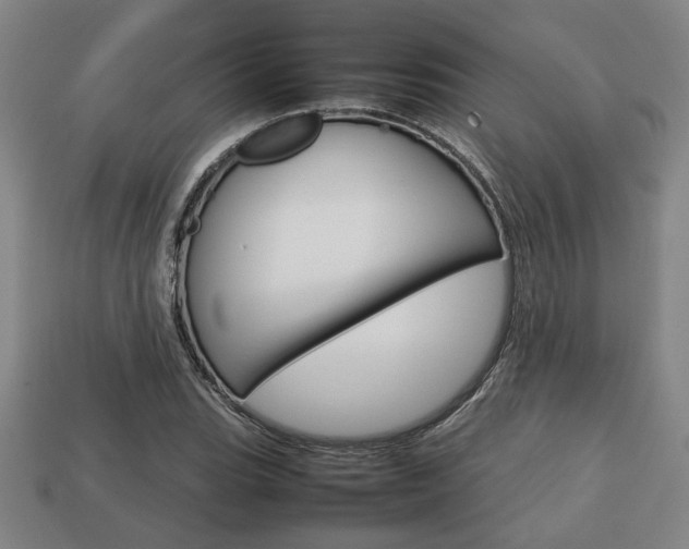 X0000113781119200909231035
