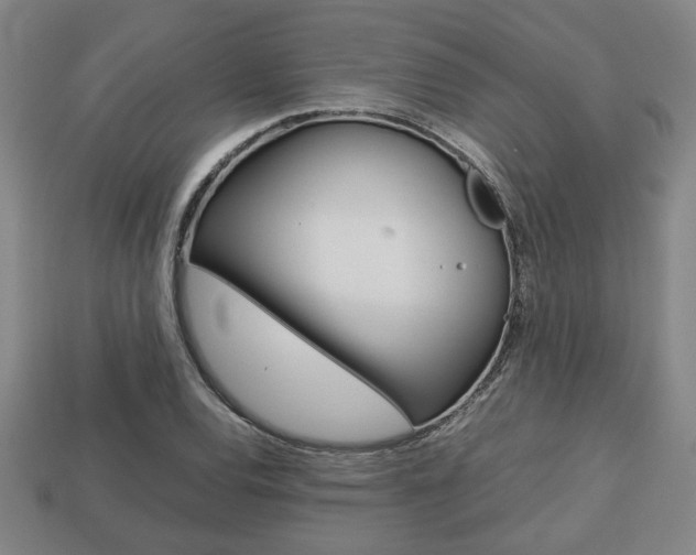 X0000113781120200909231035
