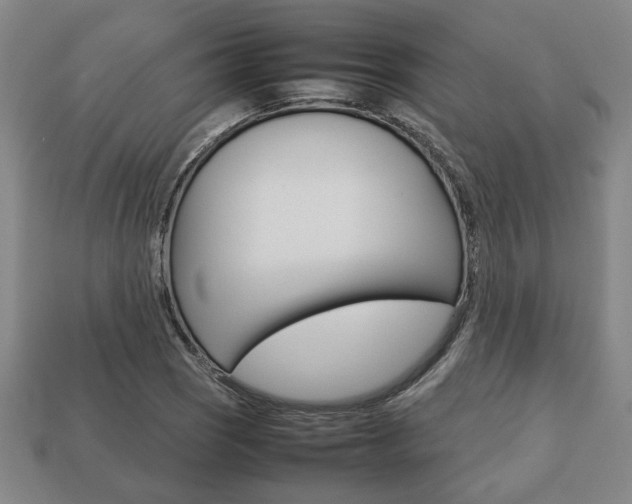 X0000113781121200909231035