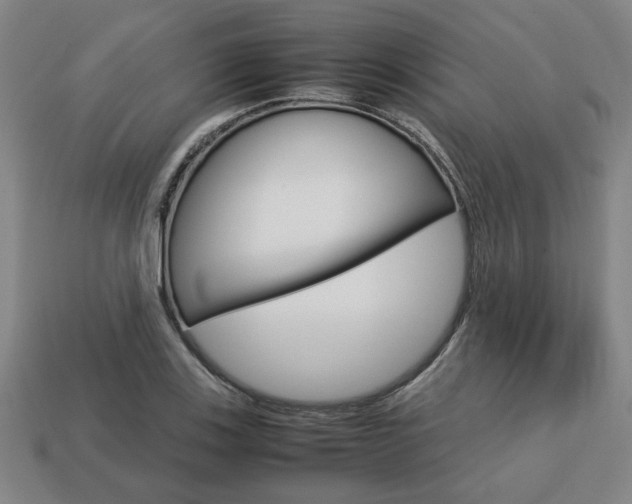 X0000113781123200909231035
