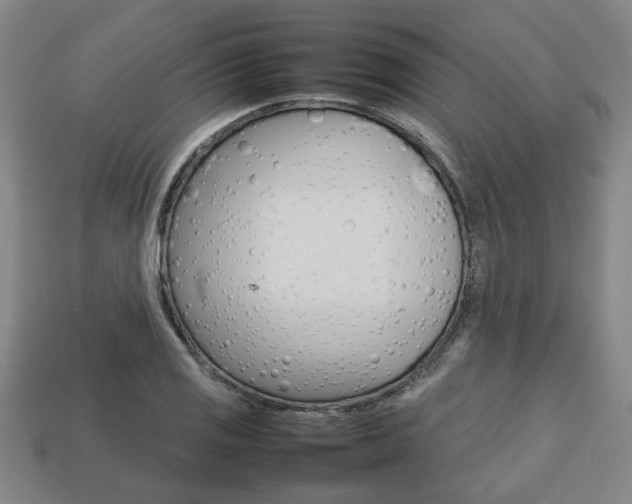 X0000113781125200909231035