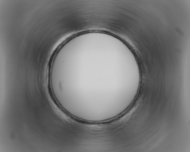 X0000113781126200909231035