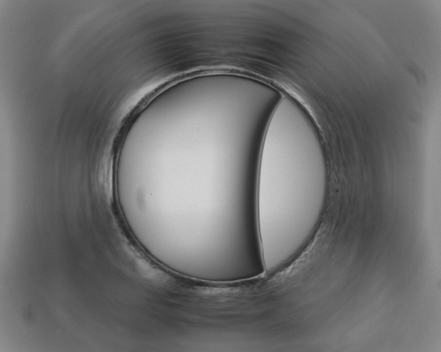 X0000113781127200909231035