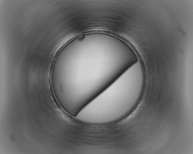 X0000113781129200909231035
