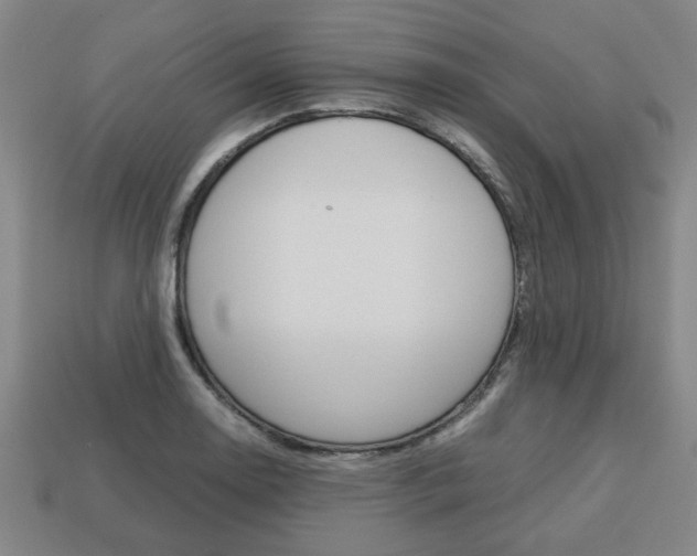 X0000113781130200909231035