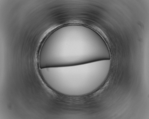 X0000113781133200909231035