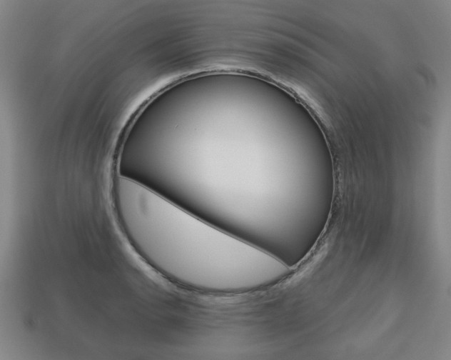 X0000113781134200909231035