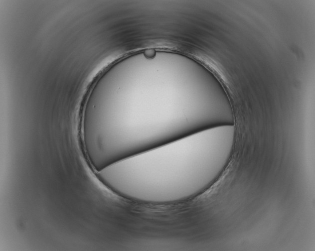 X0000113781135200909231035