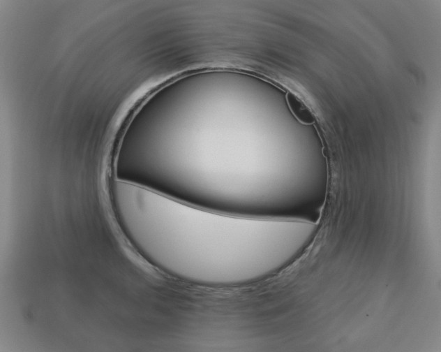 X0000113781136200909231035