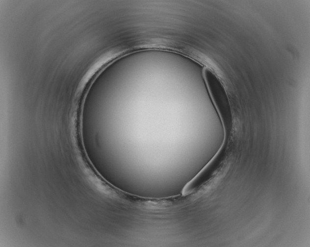 X0000113781138200909231035
