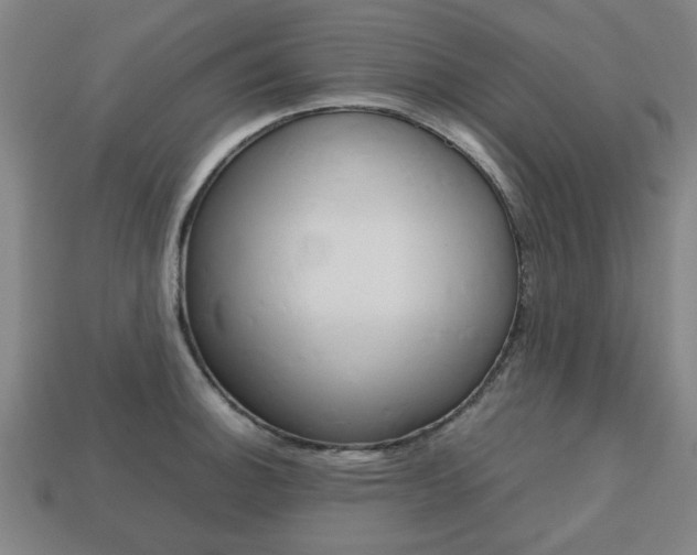X0000113781140200909231035