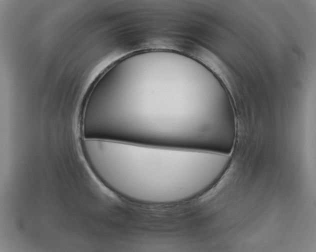 X0000113781141200909231035
