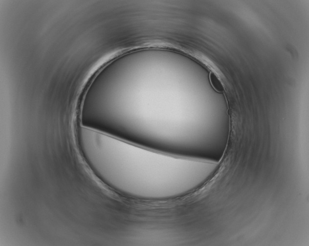 X0000113781142200909231035