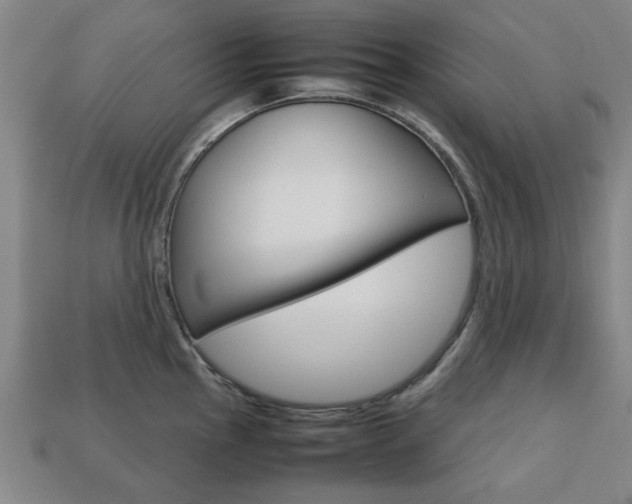 X0000113781145200909231035