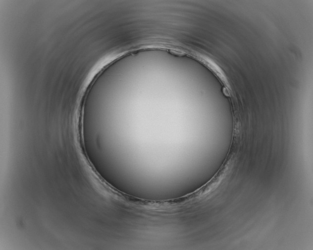 X0000113781146200909231035