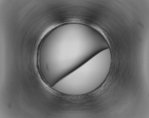 X0000113781147200909231035
