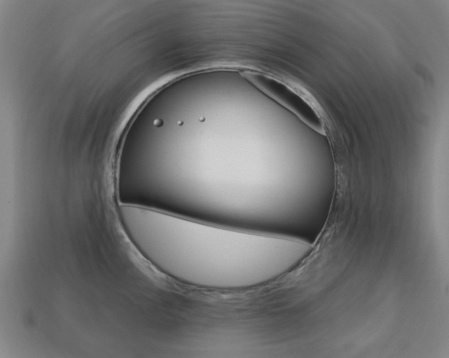 X0000113781148200909231035