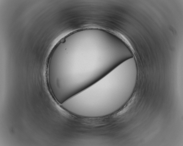 X0000113781149200909231035