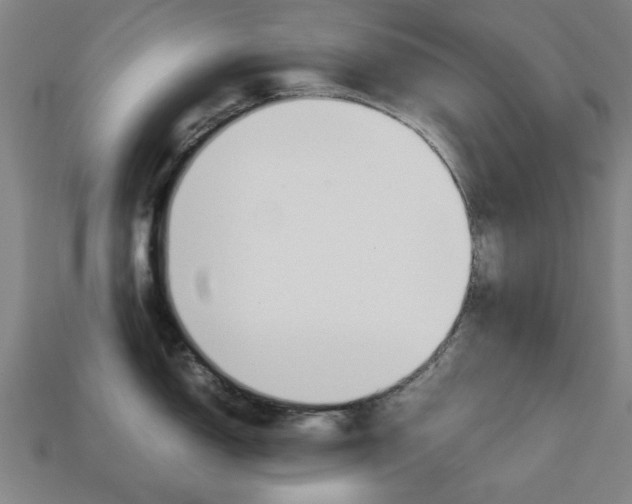 X0000113781150200909231035