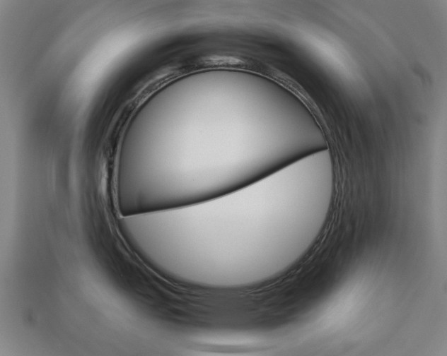 X0000113781151200909231035