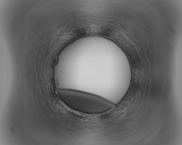 X0000113781153200909231035