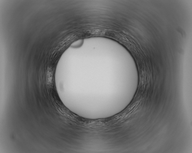 X0000113781154200909231035