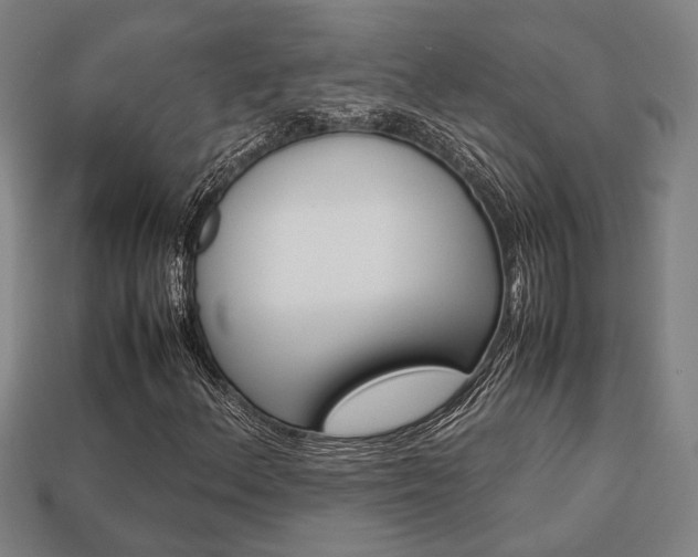 X0000113781156200909231035