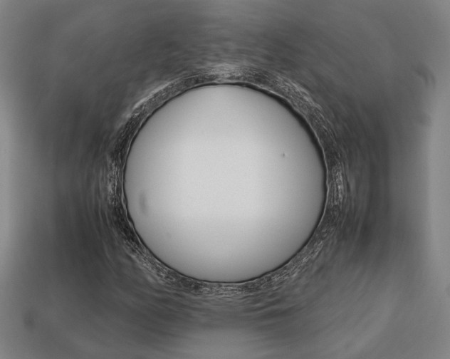 X0000113781158200909231035