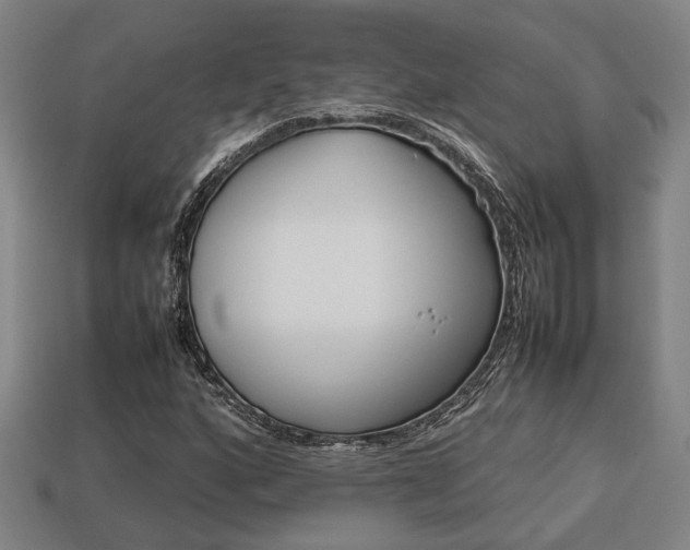 X0000113781160200909231035