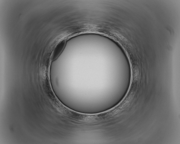 X0000113781161200909231035