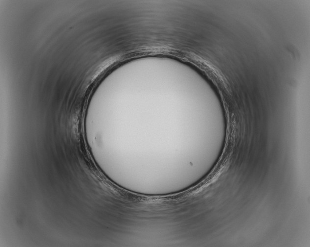 X0000113781162200909231035